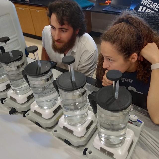 undergraduate researchers