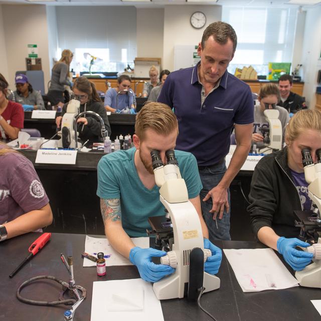 student working with microscope