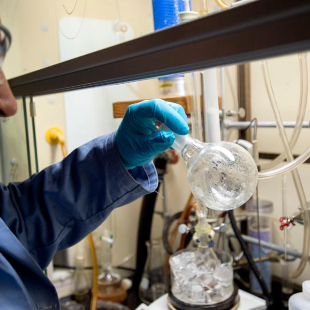 student working in a lab