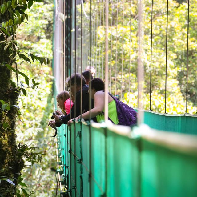 students on bridge in Costa Rica