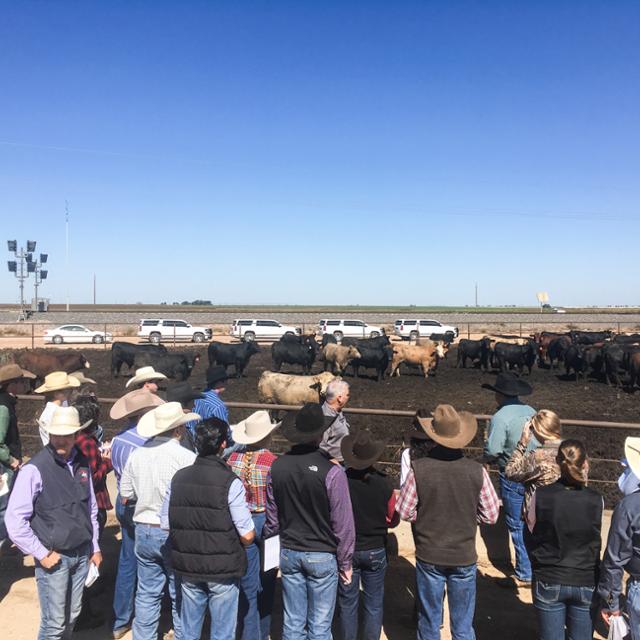 photo of students on a ranch