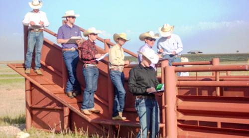 Winscott Ranch 09.11.2014